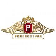 росгосстрах партнер логотип