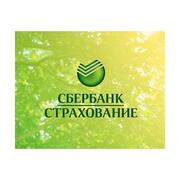 сбербанк страхование партнер логотип